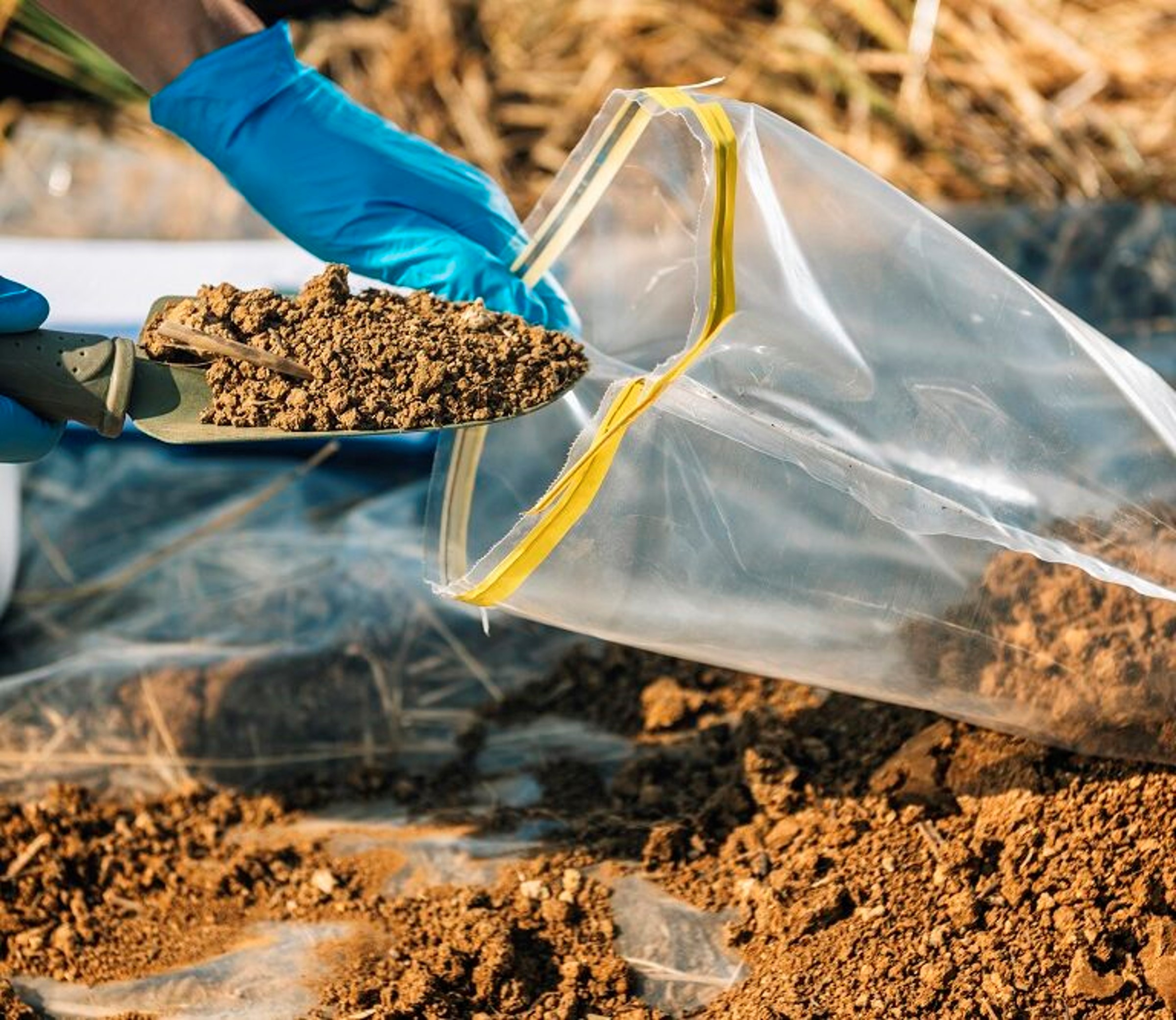 Prélèvement d'échantillon de terre pour analyse, afin de garantir une terre de remblai de qualité