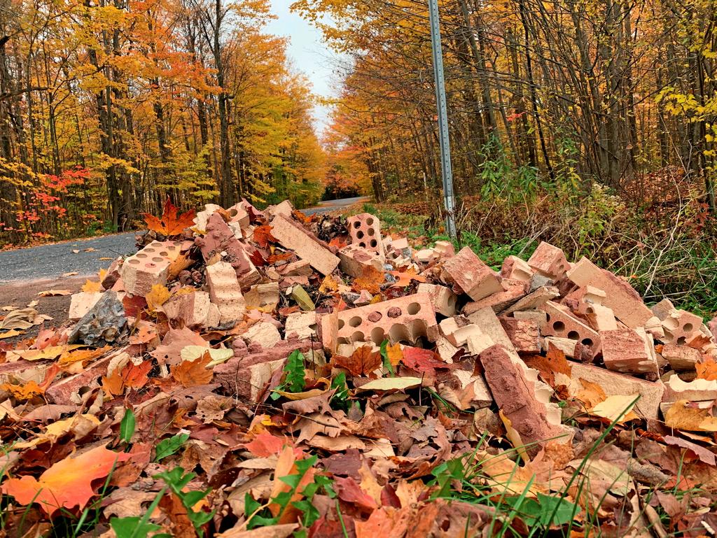 Une forêt avec un dépôt sauvage de brique et de parpaing